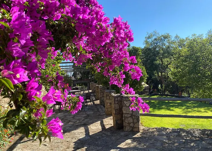 Virgen De La Cabeza Villa
